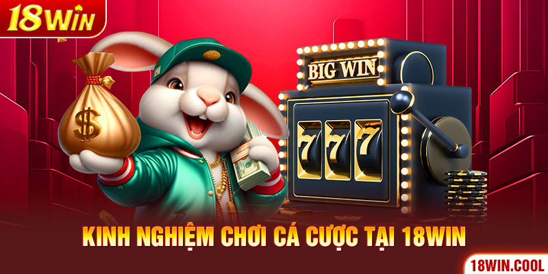 Kinh nghiệm chơi cá cược tại 18Win có gì