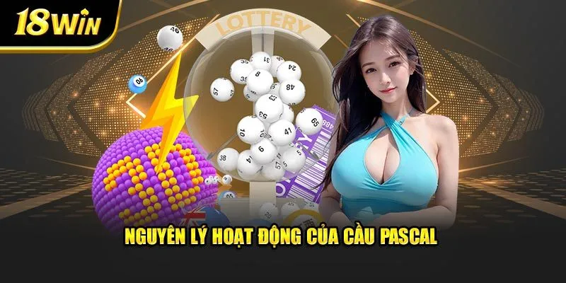 Nguyên lý hoạt động của cầu Pascal 