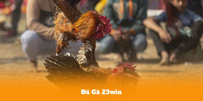 Đá Gà 23win – Trực Tiếp Mỗi Ngày, Thắng Lớn Không Giới Hạn
